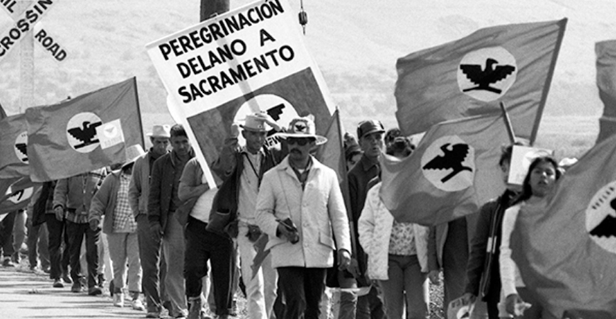 Demonstrators hold up United Farm Workers flags while marching.