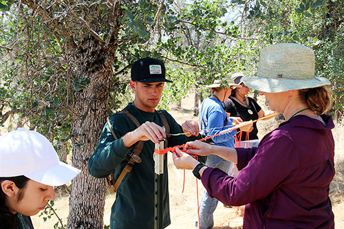 The students's mapping of the area will be used by local environmental science students and also serve as a basis for ongoing oak mortality research. Photo courtesy of TCOE.